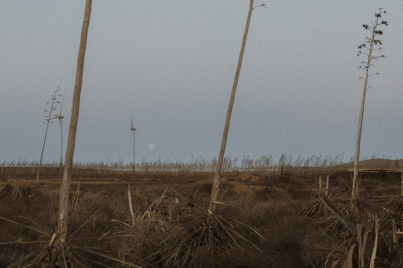 A Different Kind of New Year: Why You Don't Need To 'Fix' Yourself This January