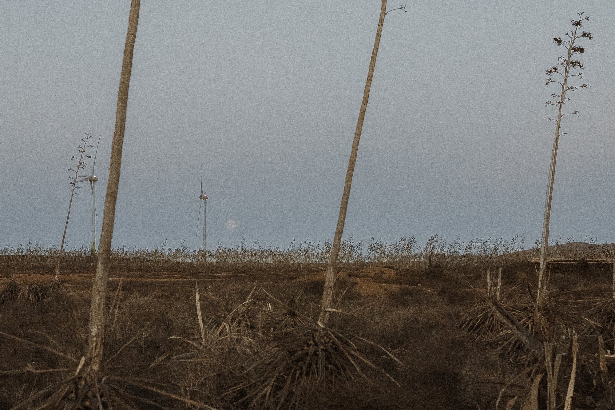 A Safe Space To <span class="highlight">Feel & Grow</span>